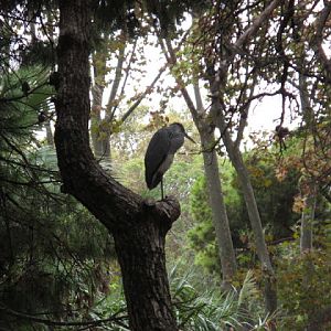 Zoo Barcelona 14.09.2009