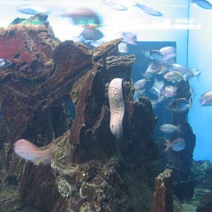 L'Aquàrium Barcelona 21.09.2009