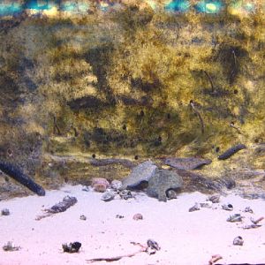 L'Aquàrium Barcelona 21.09.2009