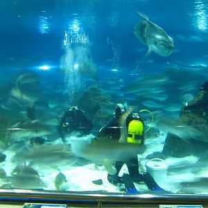 L'Aquàrium Barcelona 21.09.2009