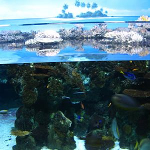 L'Aquàrium Barcelona 21.09.2009