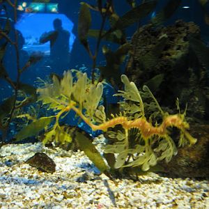 L'Aquàrium Barcelona 21.09.2009