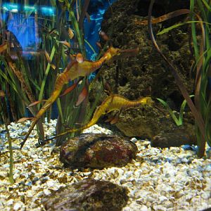 L'Aquàrium Barcelona 21.09.2009