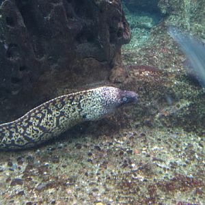 L'Aquàrium Barcelona 21.09.2009