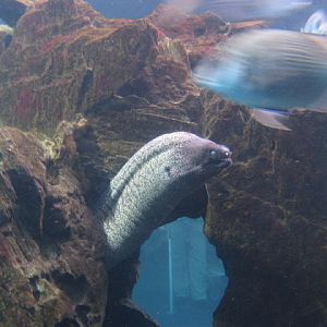 L'Aquàrium Barcelona 21.09.2009