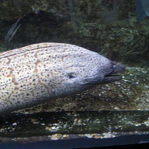 L'Aquàrium Barcelona 21.09.2009