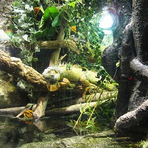 L'Aquàrium Barcelona 21.09.2009