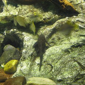 L'Aquàrium Barcelona 21.09.2009