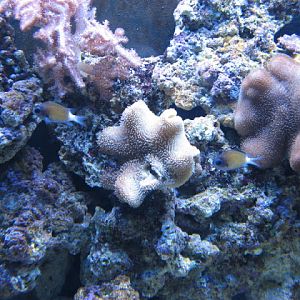 L'Aquàrium Barcelona 21.09.2009