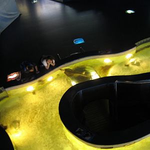 L'Aquàrium Barcelona 21.09.2009