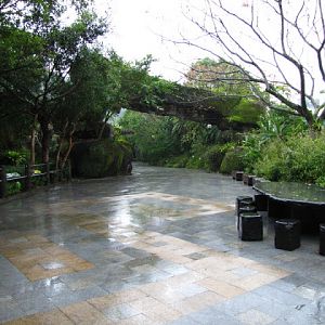 Taipei Zoo 10.01.2011