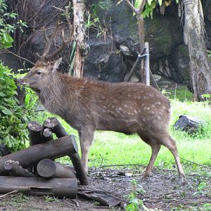 Taipei Zoo 10.01.2011