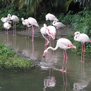 Taipei Zoo 10.01.2011