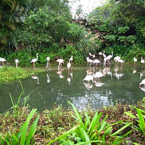 Taipei Zoo 10.01.2011