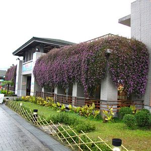 Taipei Zoo 10.01.2011