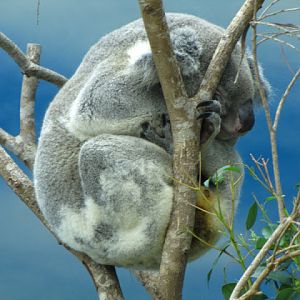 Taipei Zoo 10.01.2011
