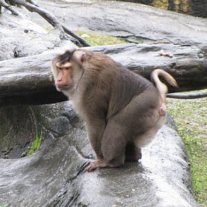 Taipei Zoo 10.01.2011