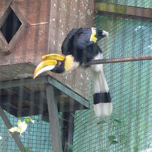 Taipei Zoo 10.01.2011