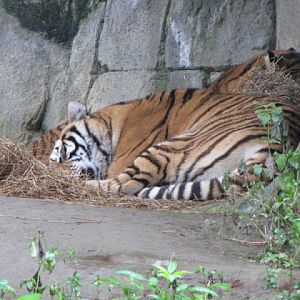 Taipei Zoo 10.01.2011