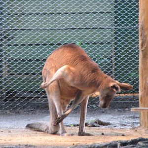 Taipei Zoo 10.01.2011