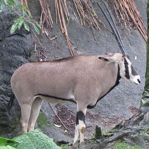 Taipei Zoo 10.01.2011