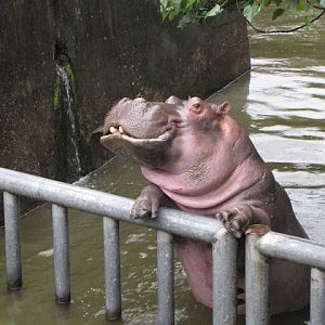 Taipei Zoo 10.01.2011