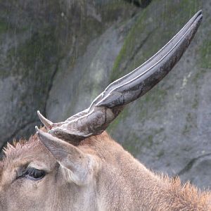 Taipei Zoo 10.01.2011