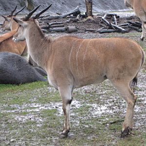 Taipei Zoo 10.01.2011