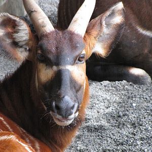 Taipei Zoo 10.01.2011