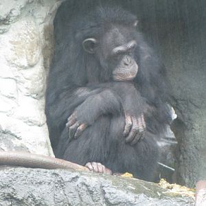 Taipei Zoo 10.01.2011