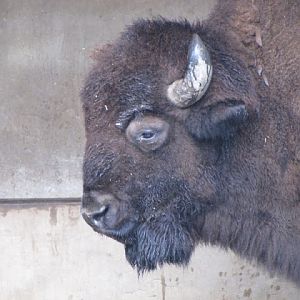 Taipei Zoo 10.01.2011