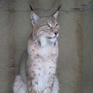 Taipei Zoo 10.01.2011