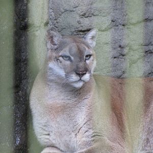 Taipei Zoo 10.01.2011