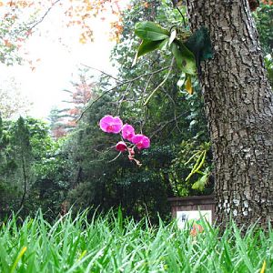 Taipei Zoo 10.01.2011