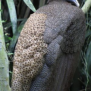 Taipei Zoo 10.01.2011