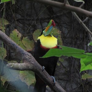 Taipei Zoo 10.01.2011