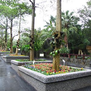 Taipei Zoo 10.01.2011