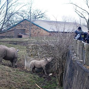 Meeting the Public at Chester, 24/02/13