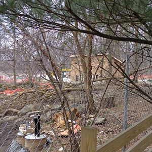 Grizzly Ridge Construction 2013.02.23