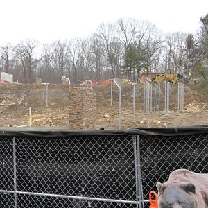 Grizzly Ridge Construction 2013.02.23