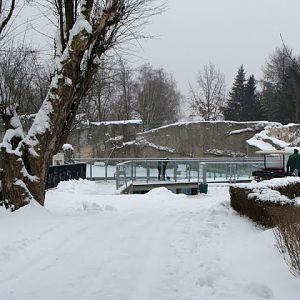 Winter in the zoo.