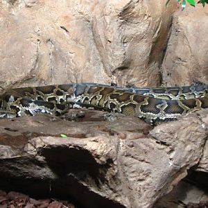 Haus des Meeres 20.06.2010