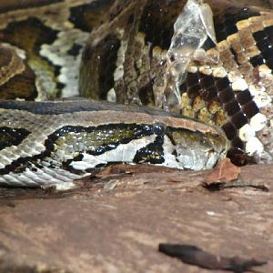 Haus des Meeres 20.06.2010