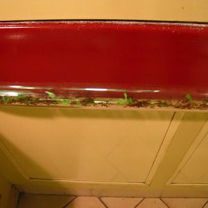 Haus des Meeres 20.06.2010