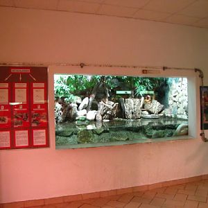 Haus des Meeres 20.06.2010