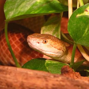 Haus des Meeres 20.06.2010