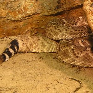 Haus des Meeres 20.06.2010