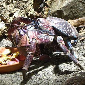 Haus des Meeres 20.06.2010