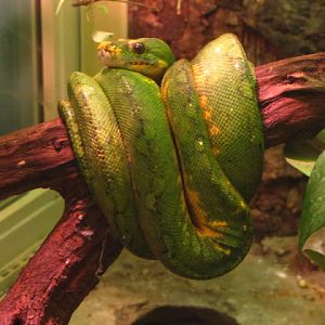 Haus des Meeres 20.06.2010