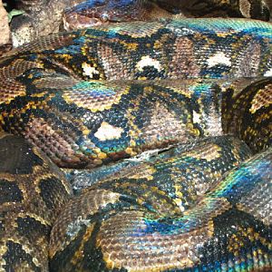 Haus des Meeres 20.06.2010